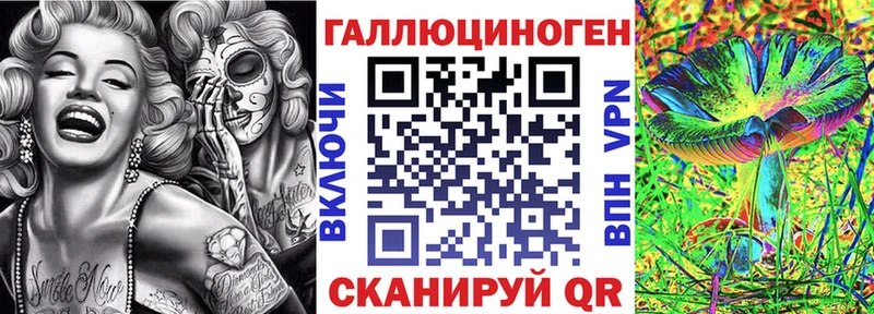 где купить наркотик  Чегем  omg маркетплейс  Галлюциногенные грибы GOLDEN TEACHER 